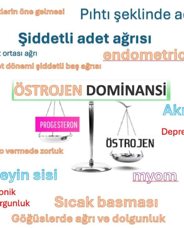 Östrojen Dominansı