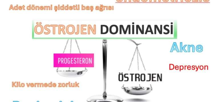 Östrojen Dominansı