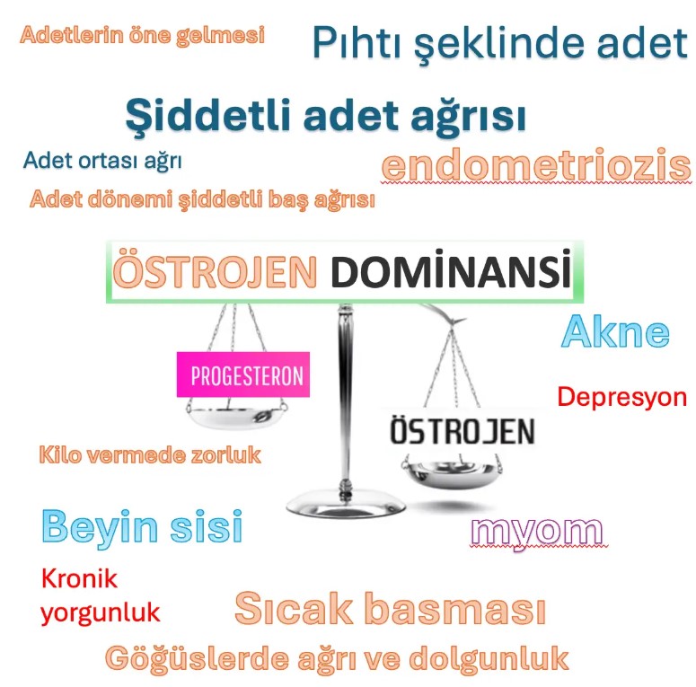 Östrojen Dominansı